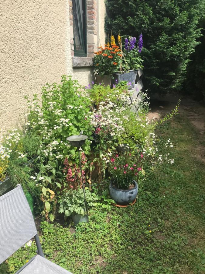 Boutique Apartments Benz I-Iii Bergisch Gladbach Eksteriør bilde