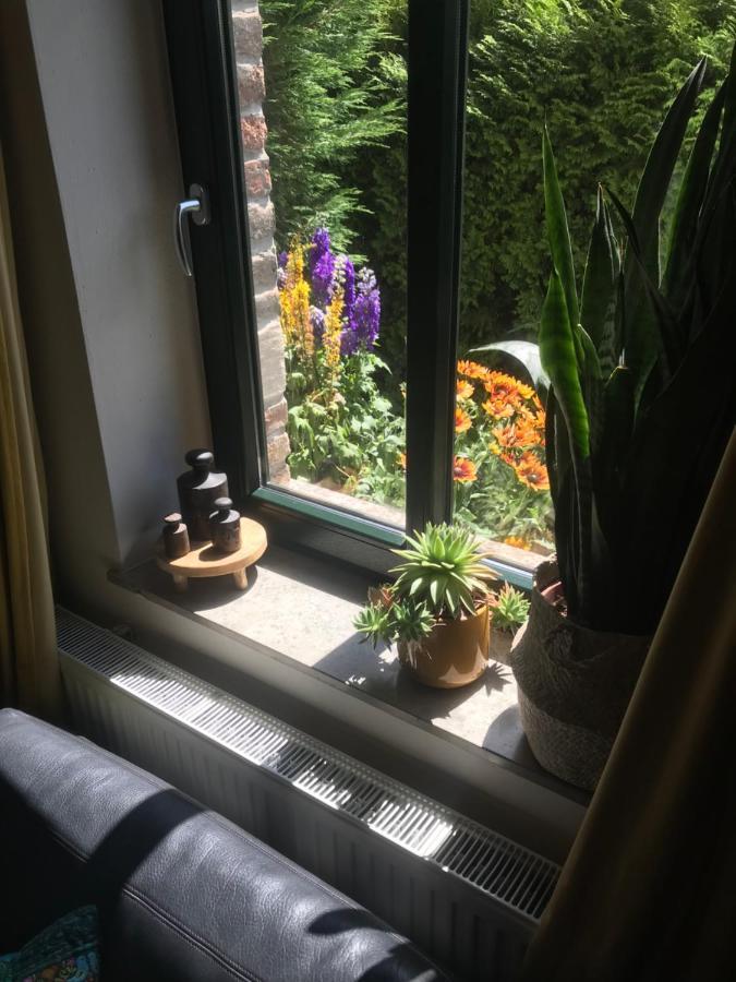 Boutique Apartments Benz I-Iii Bergisch Gladbach Eksteriør bilde