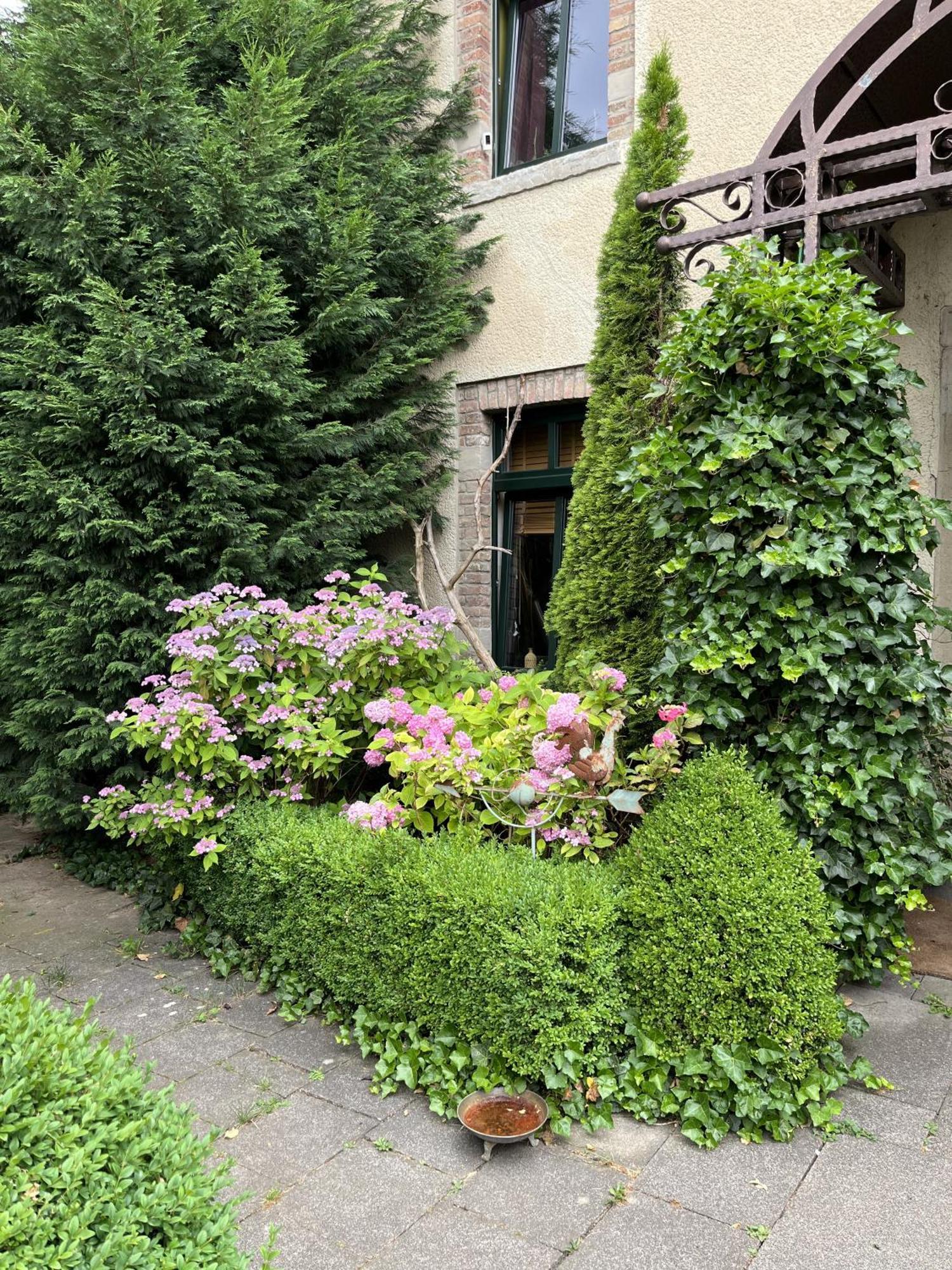 Boutique Apartments Benz I-Iii Bergisch Gladbach Eksteriør bilde