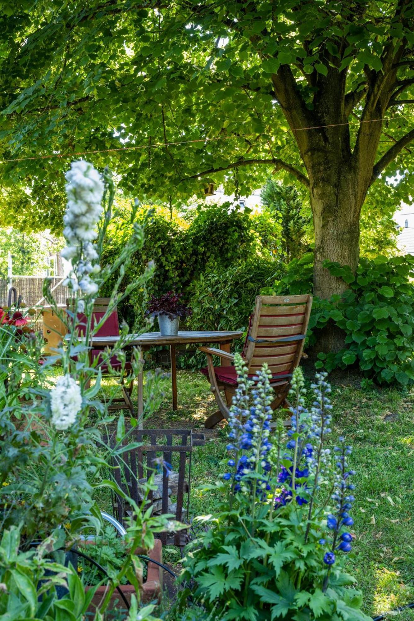 Boutique Apartments Benz I-Iii Bergisch Gladbach Eksteriør bilde